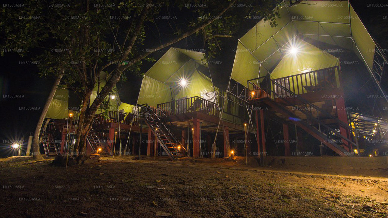 360 Regenwald, Deniyaya