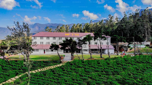 Tee- und Erlebnisfabrik, Mandaram Nuwara