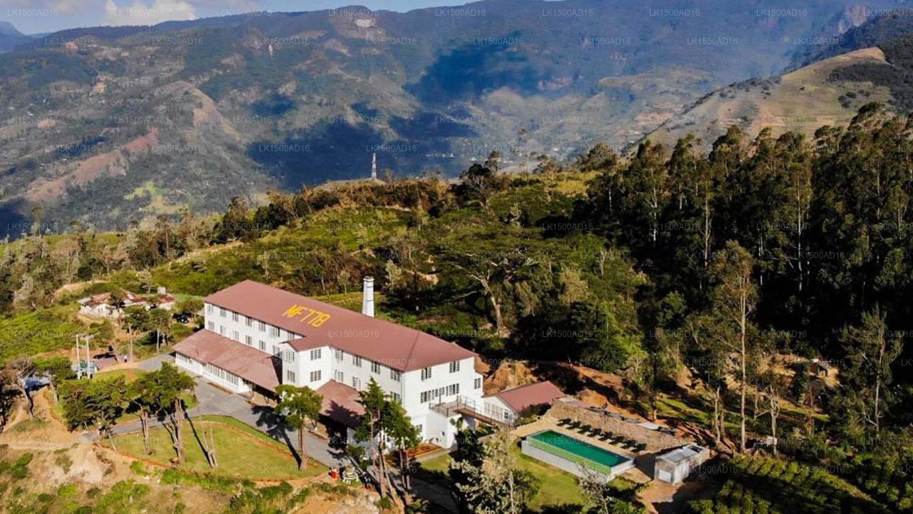 Tee- und Erlebnisfabrik, Mandaram Nuwara
