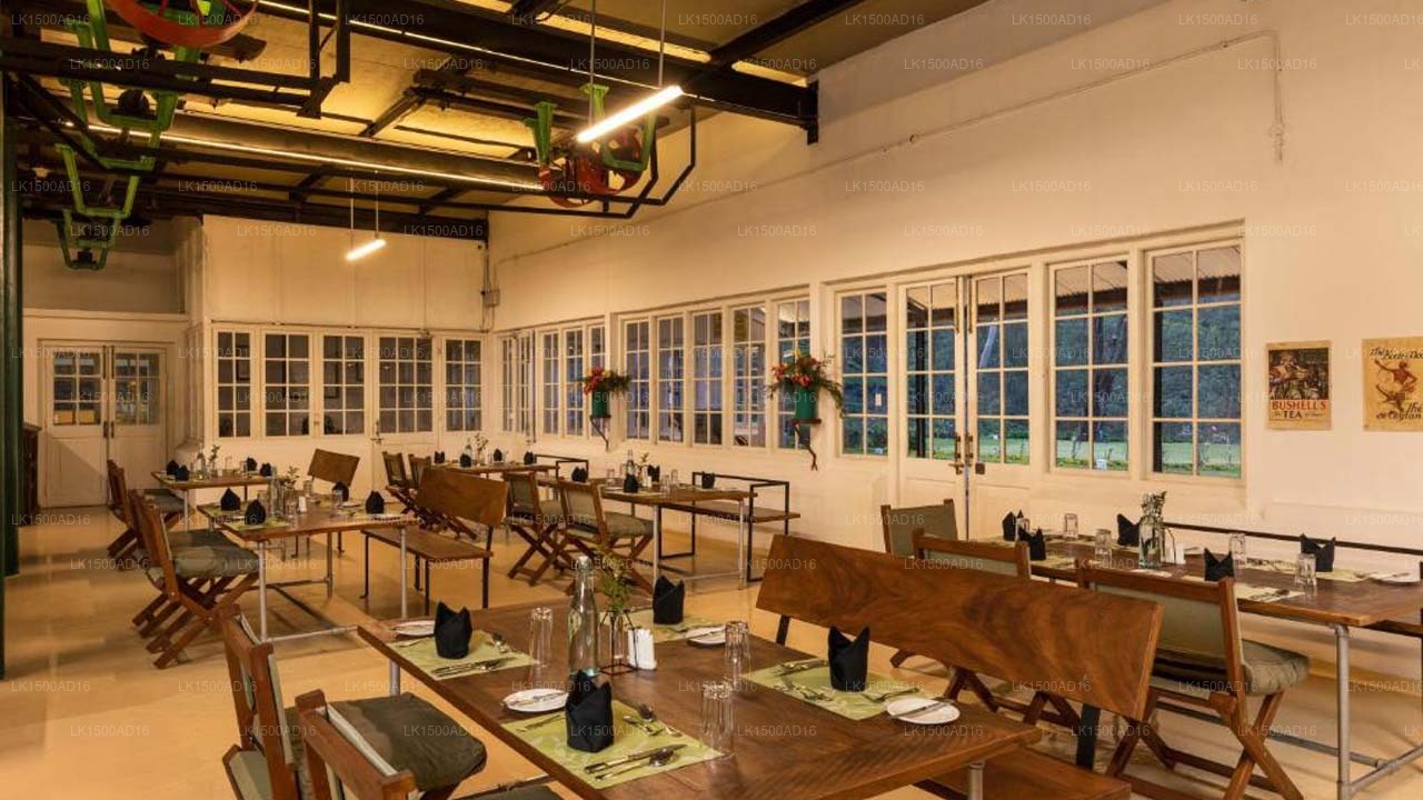 Tee- und Erlebnisfabrik, Mandaram Nuwara