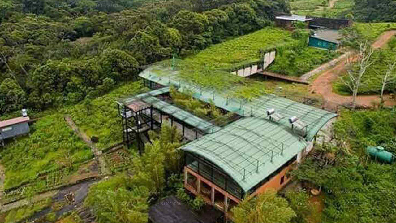 Regenwald-Ecolodge, Sinharaja