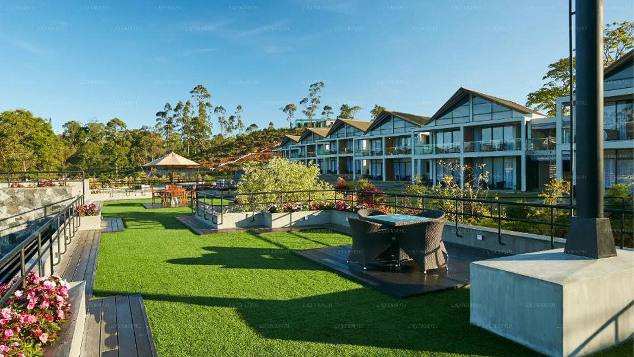 The Argyle - Luxus-Boutique-Hotel, Hatton