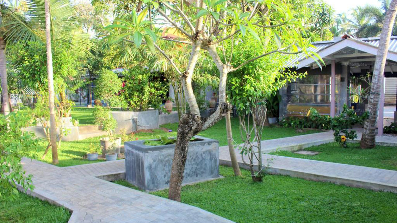 Morgenstern, Negombo