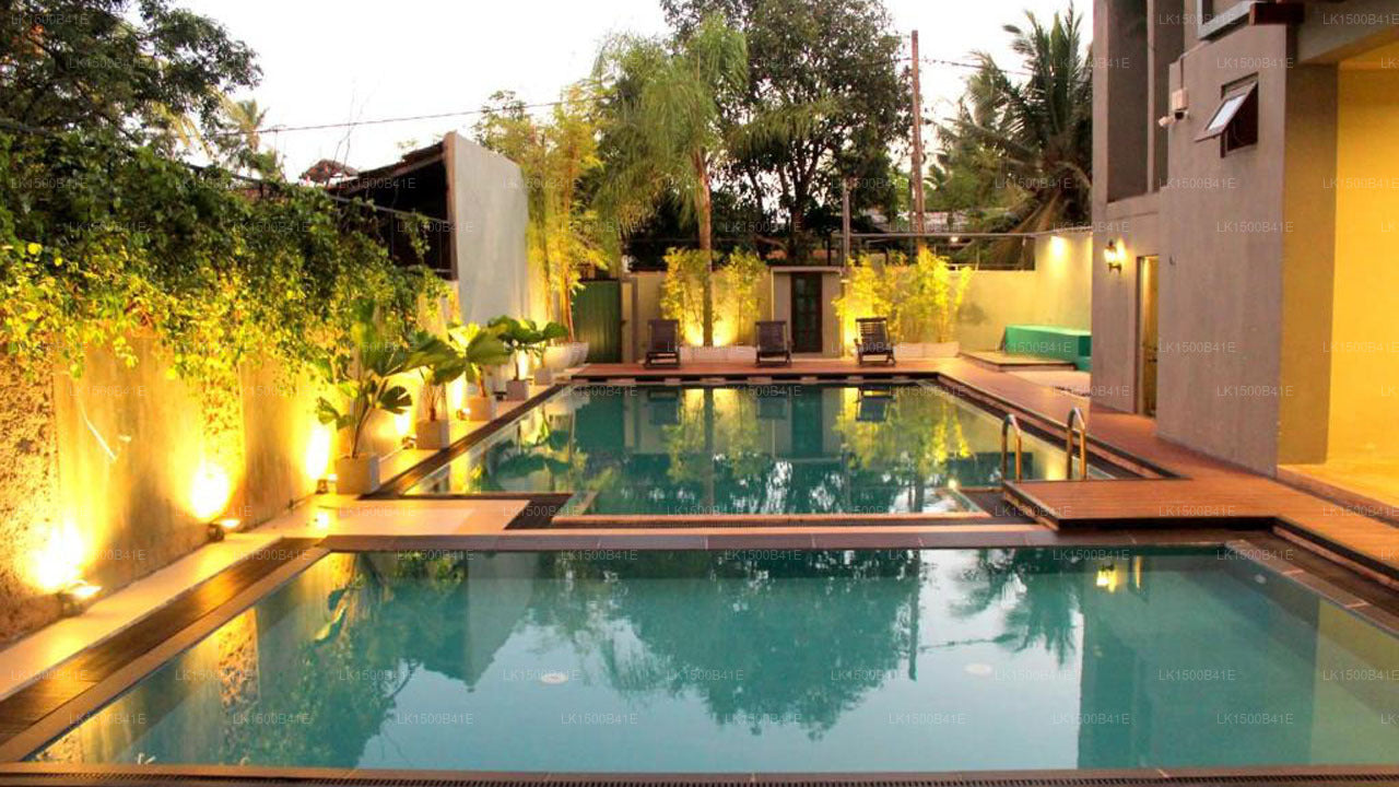 Morgenstern, Negombo