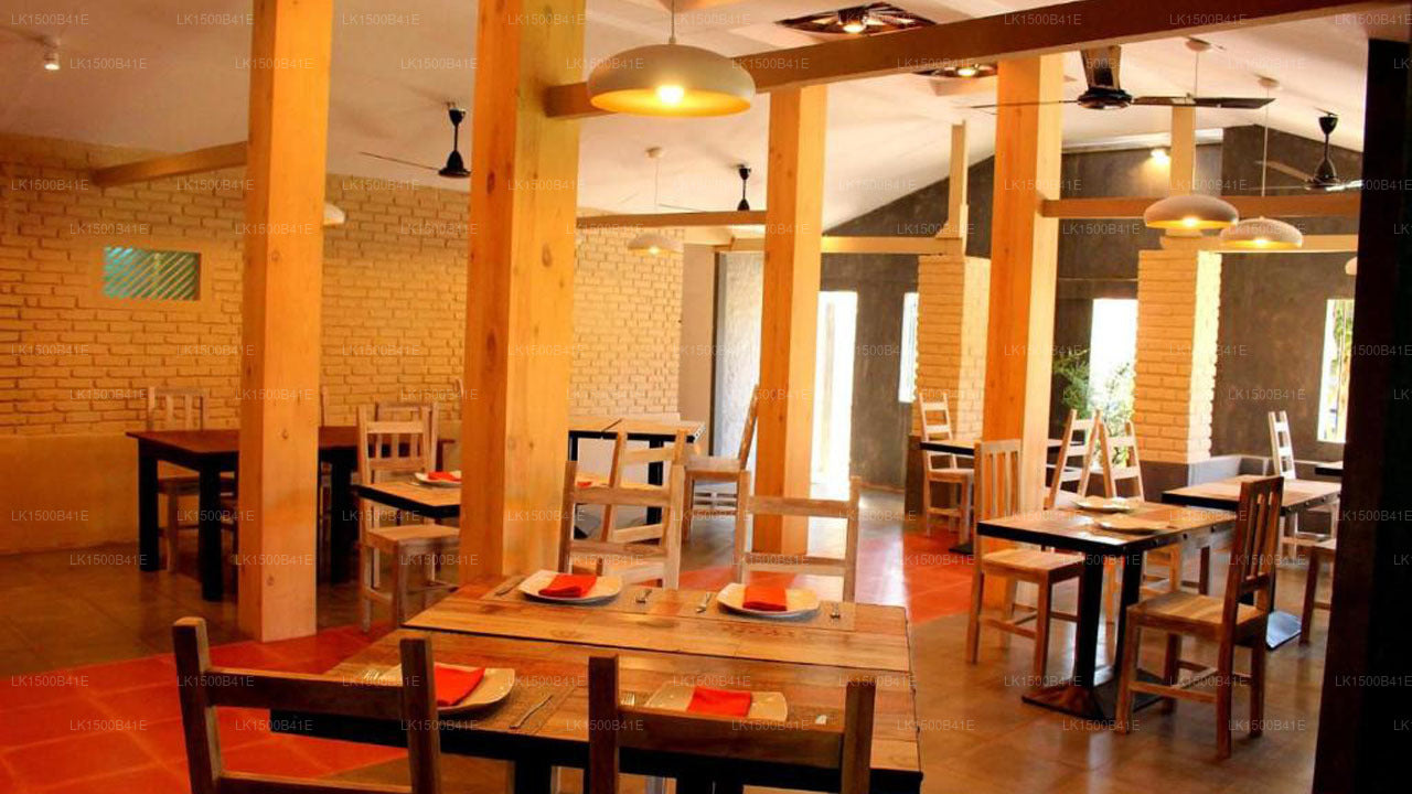 Morgenstern, Negombo