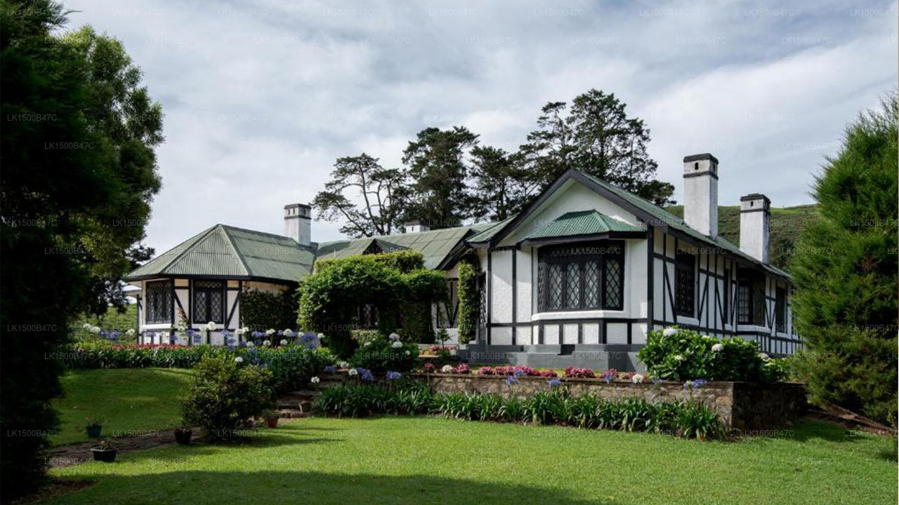 Der Oliphant Bungalow, Nuwara Eliya