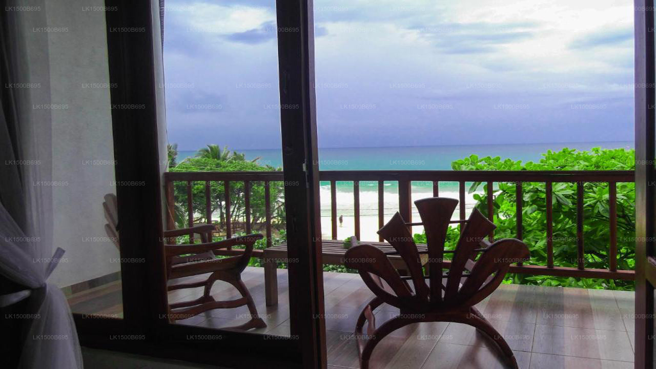 Flora und Fauna Mirissa, Mirissa