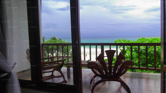 Flora und Fauna Mirissa, Mirissa