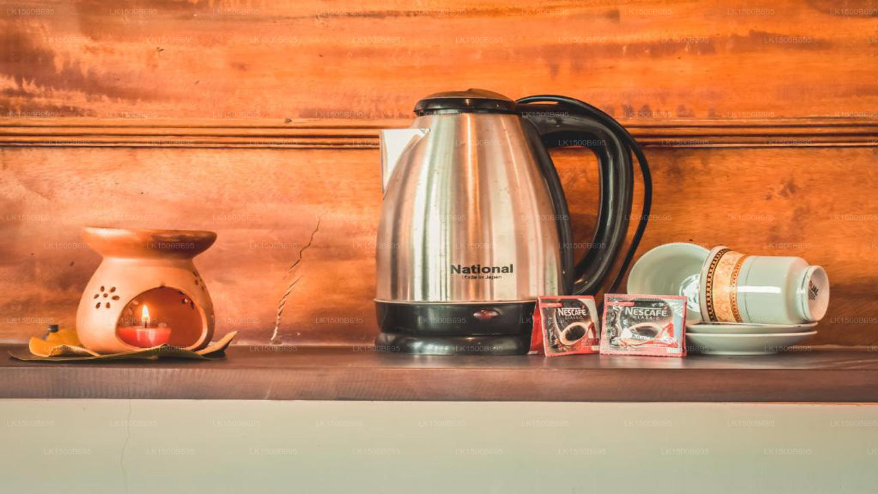 Flora und Fauna Mirissa, Mirissa