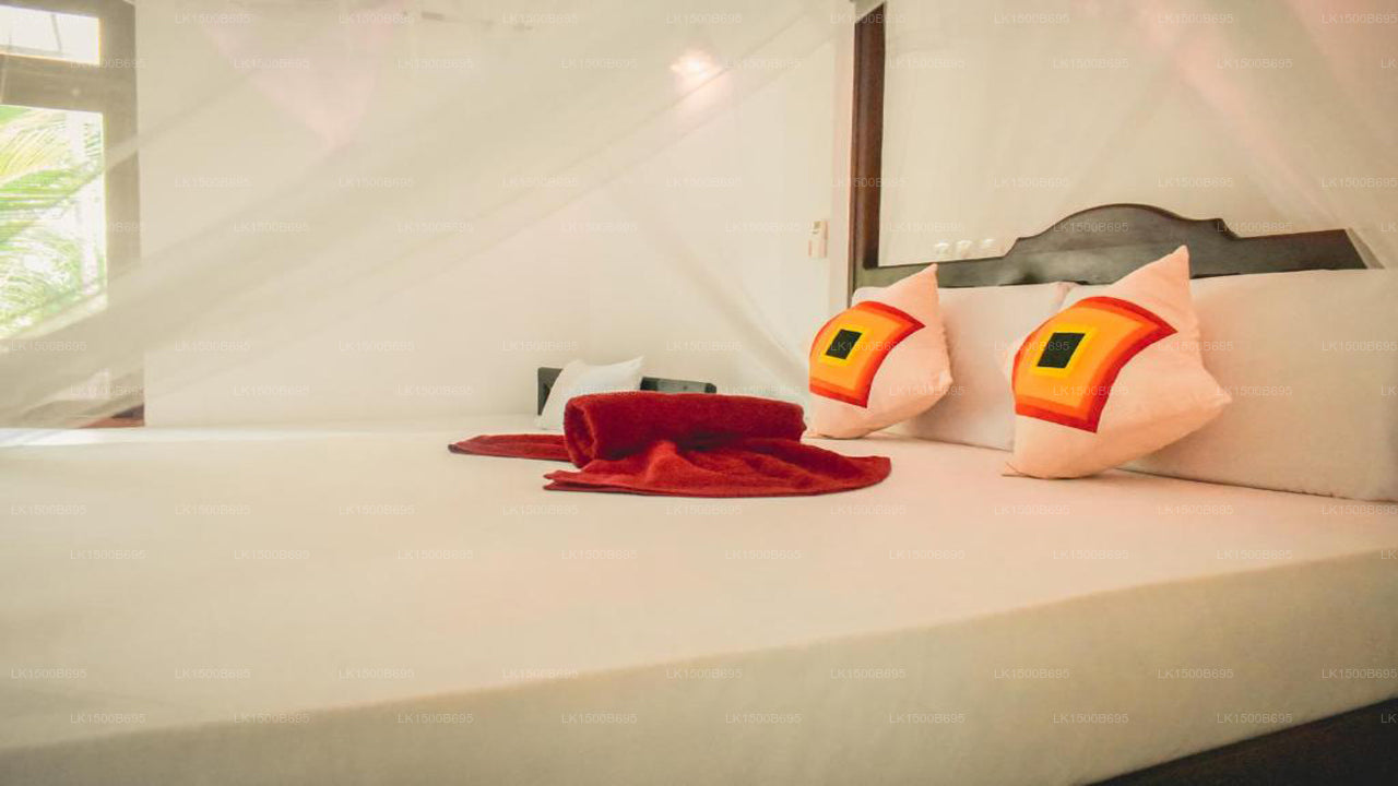 Flora und Fauna Mirissa, Mirissa