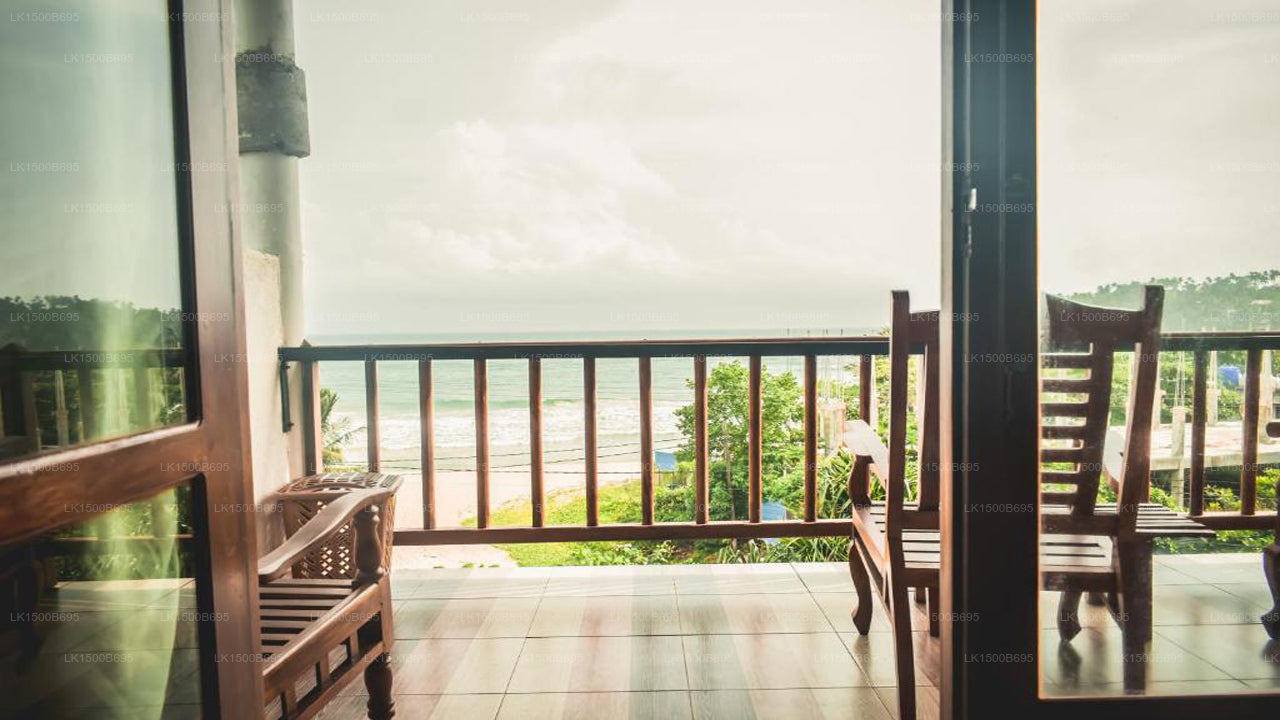 Flora und Fauna Mirissa, Mirissa