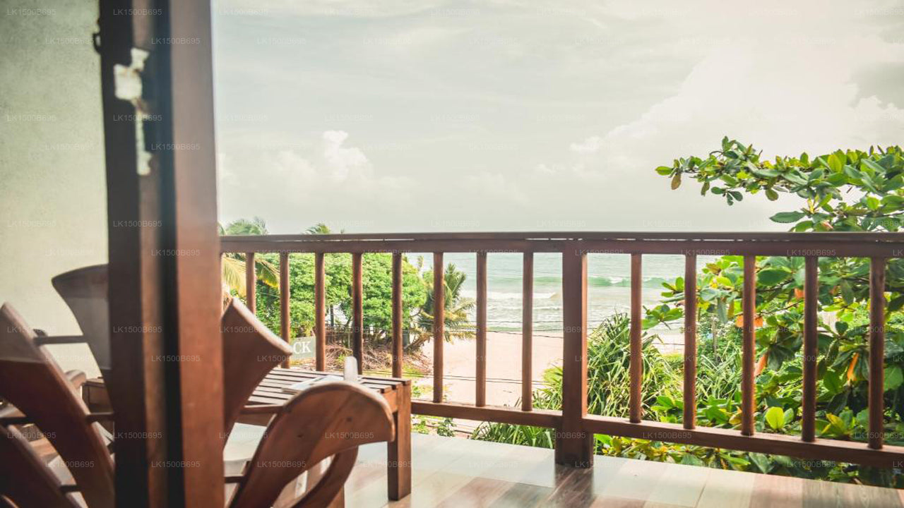 Flora und Fauna Mirissa, Mirissa