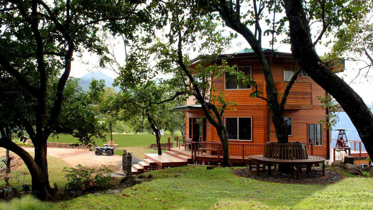 Gadadessa Estate, Kandy 