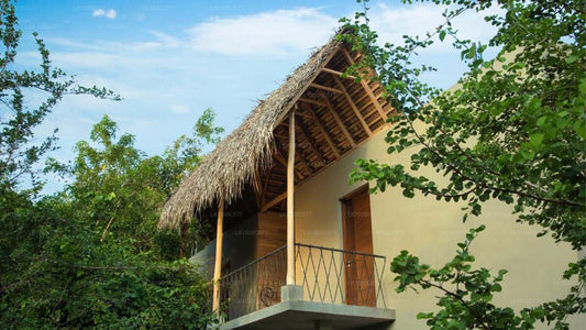 Aliya Resort &amp; Spa, Sigiriya