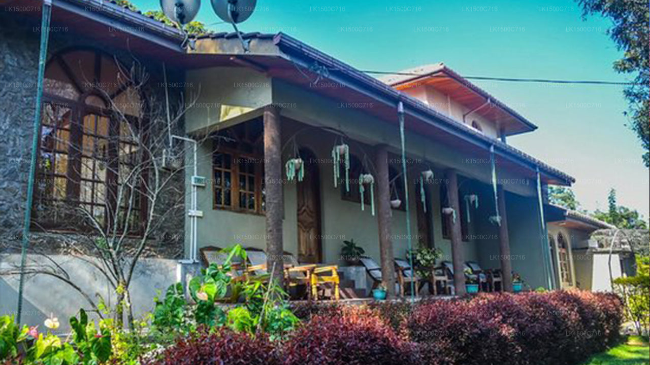 MF Estate Ferienbungalow, Bandarawela