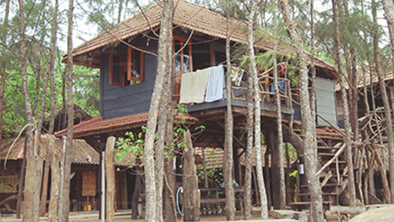 Strandhütte, Arugam Bay