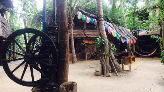 Strandhütte, Arugam Bay