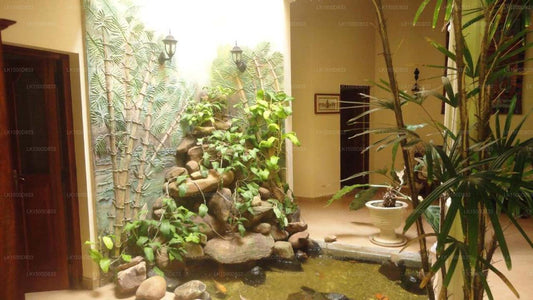 Dedduwa Bootshaus von Jetwing, Bentota