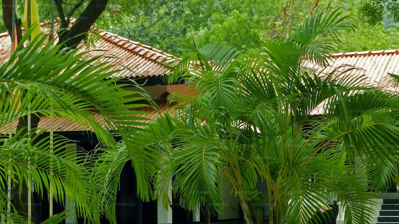 Jayasinghe Ferienresort, Kataragama