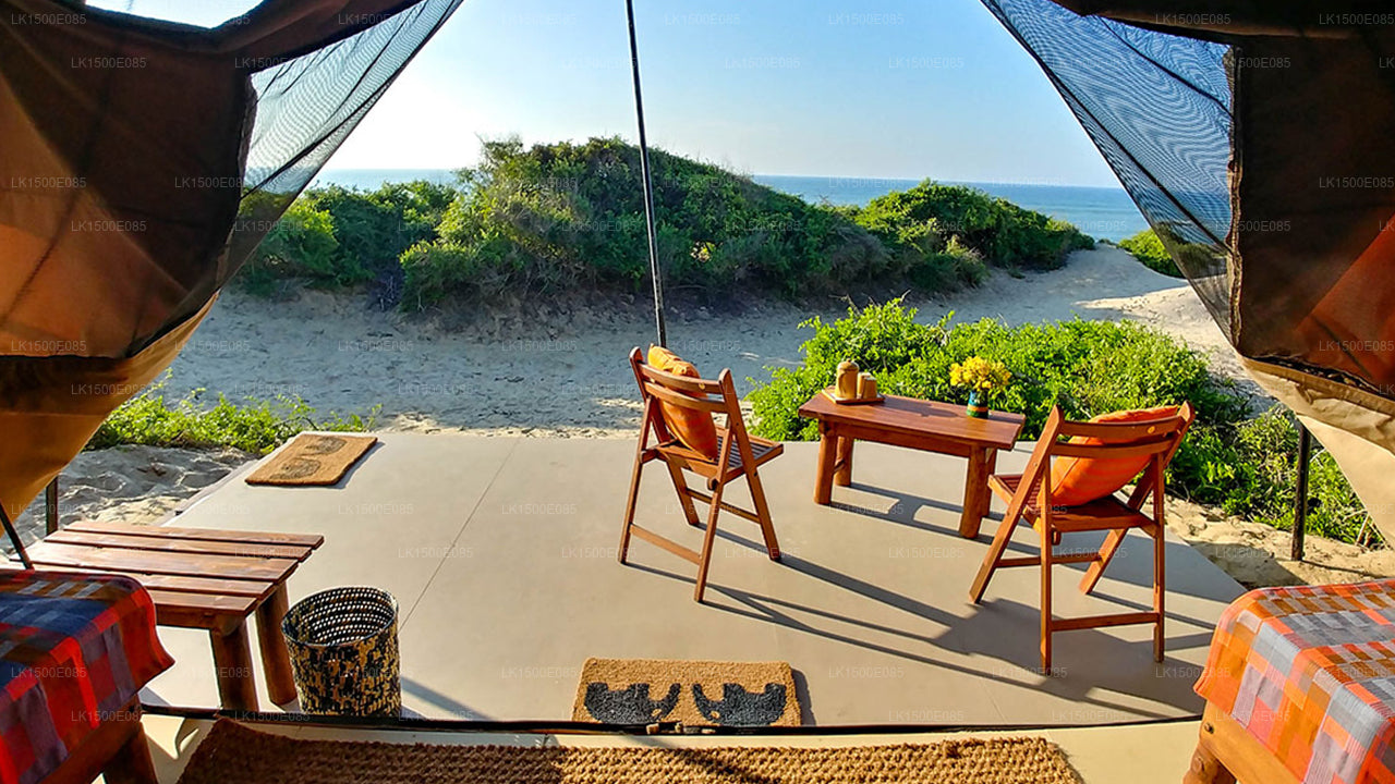 Zurück ins Jenseits - Safari Lodge, Yala