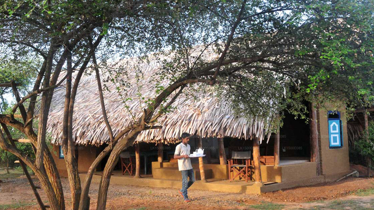 Zurück ins Jenseits - Safari Lodge, Yala