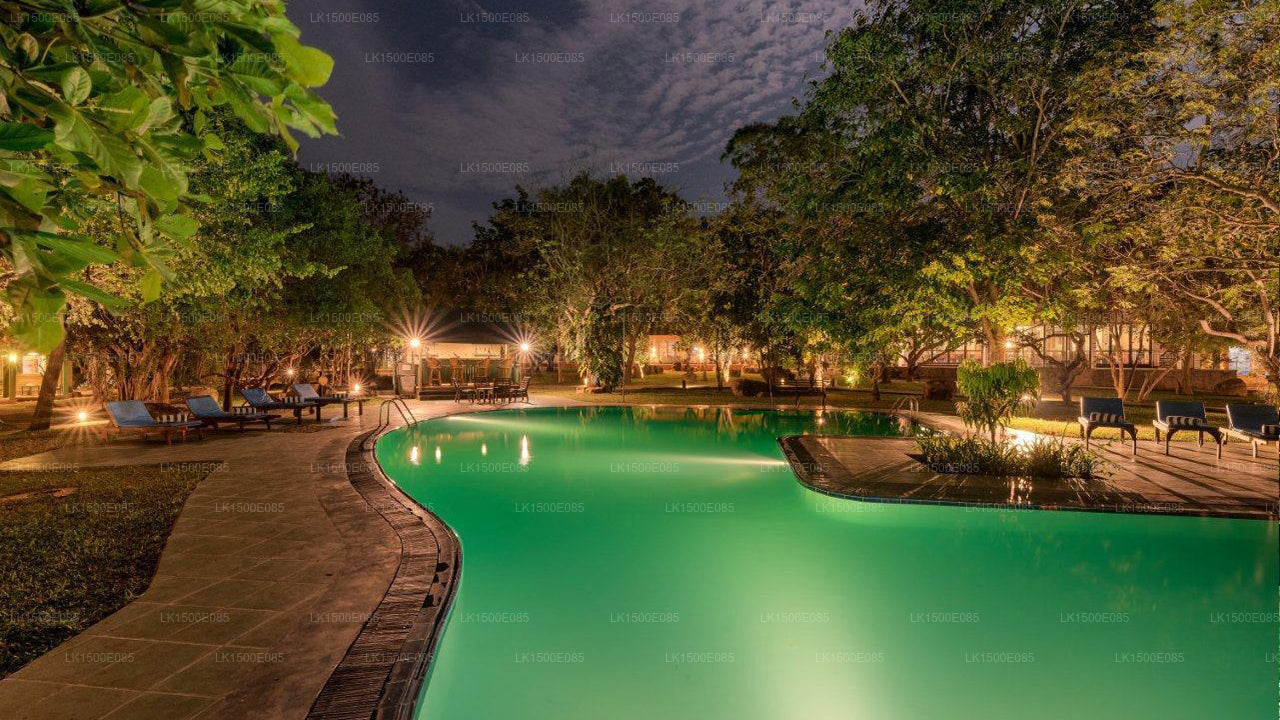 Zurück ins Jenseits - Safari Lodge, Yala
