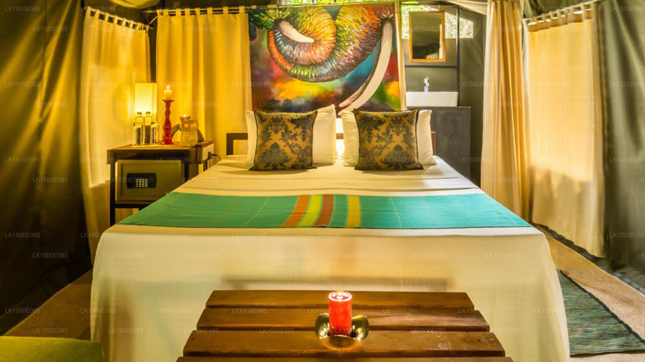 Zurück ins Jenseits - Safari Lodge, Yala