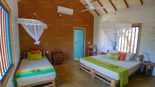 Zurück ins Jenseits - Safari Lodge, Yala