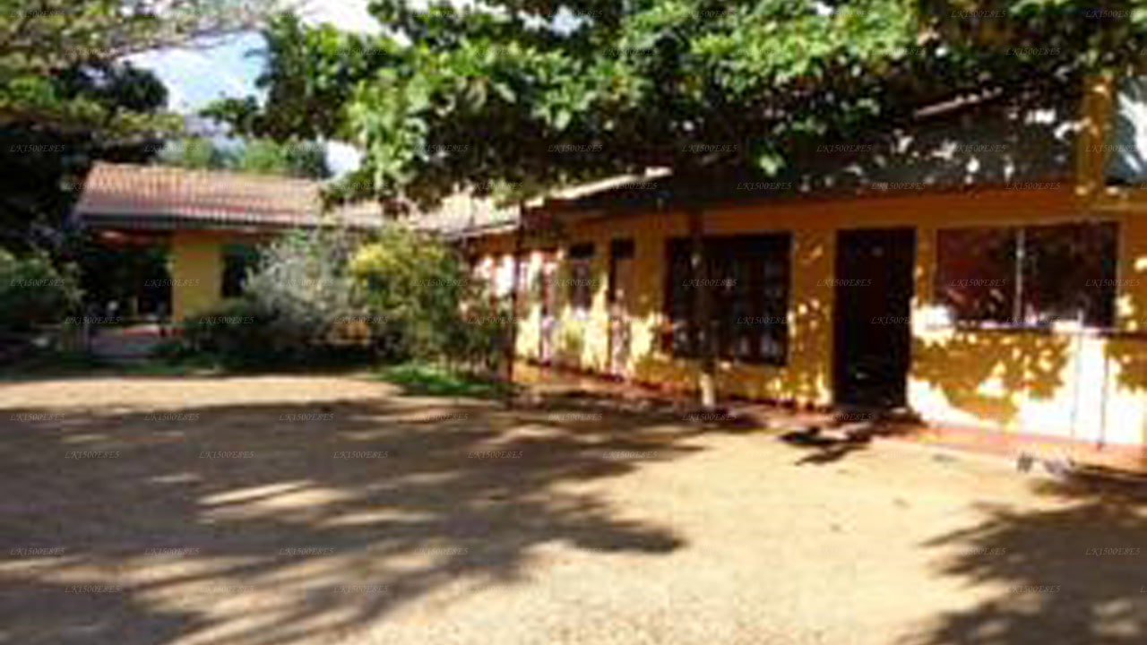 Pala Hotel, Tissamaharama 