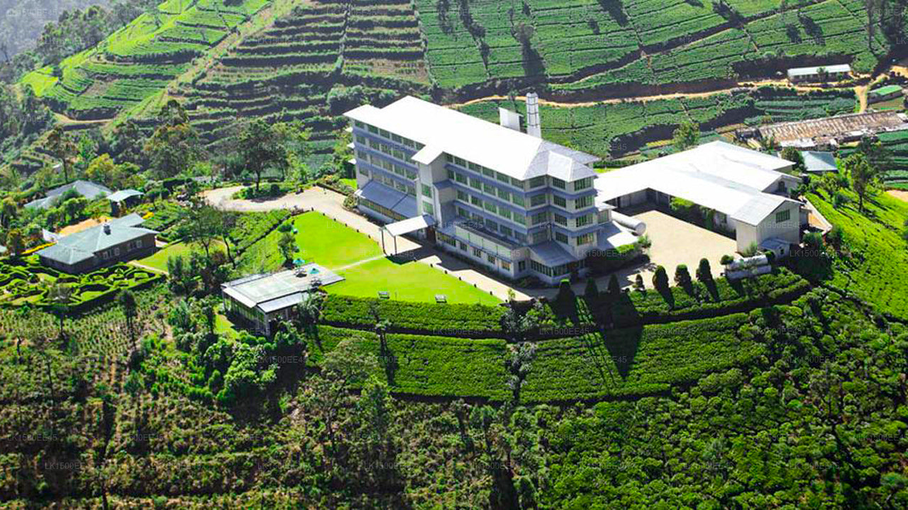 Heritance Teefabrik, Nuwara Eliya