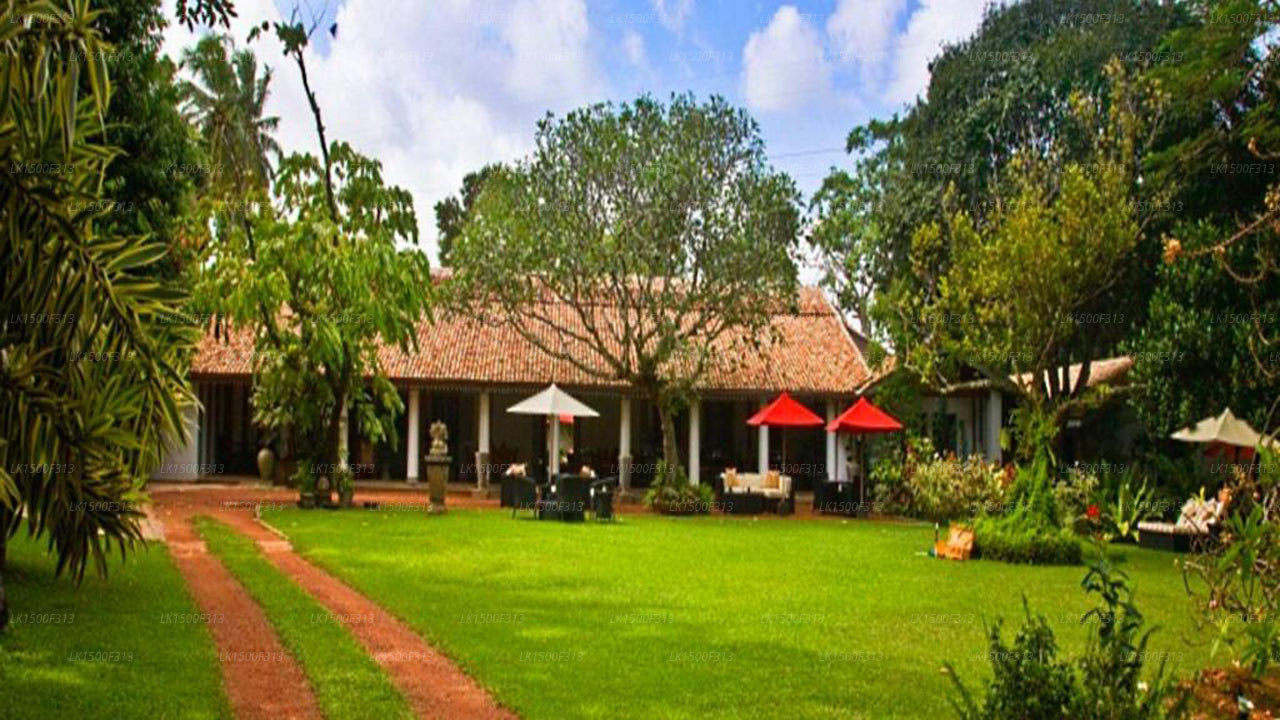 Die Wallawwa, Katunayake 