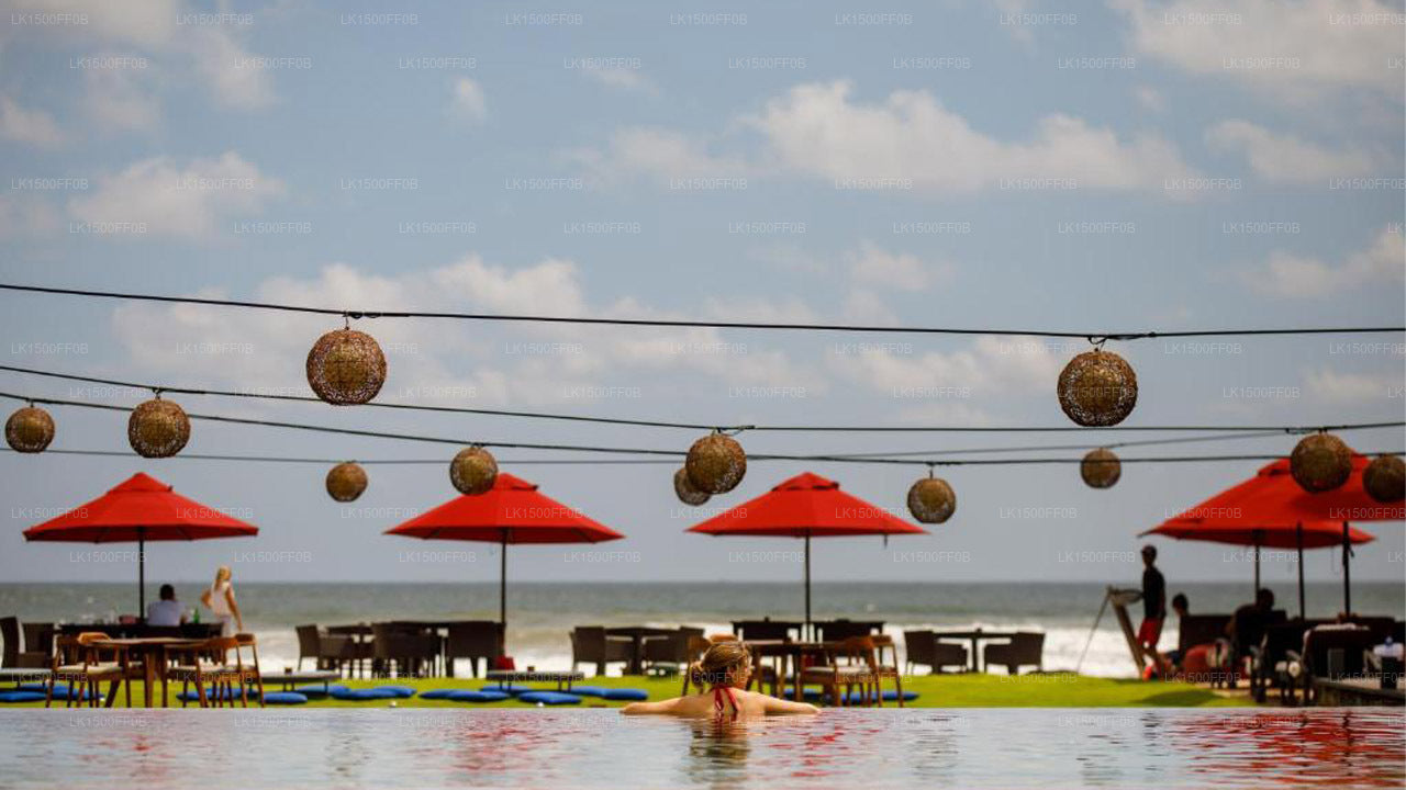 W15, Weligama 