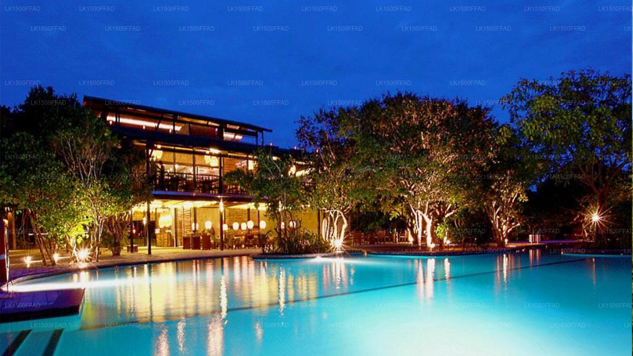Zimtwild, Yala