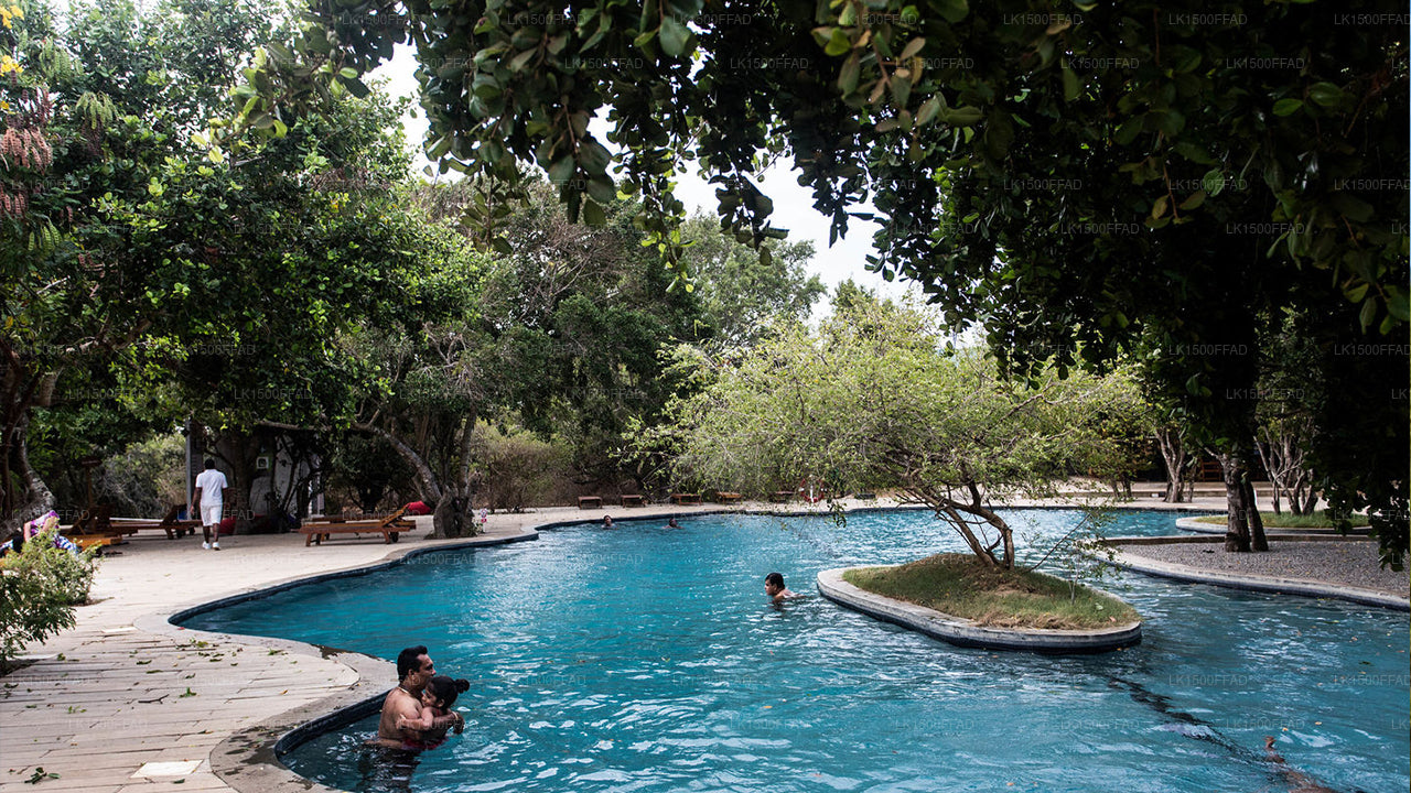 Zimtwild, Yala