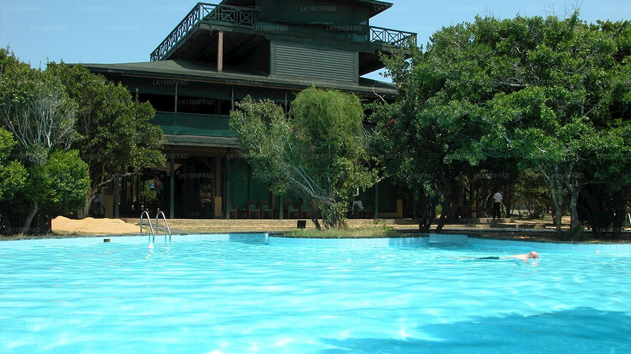 Zimtwild, Yala