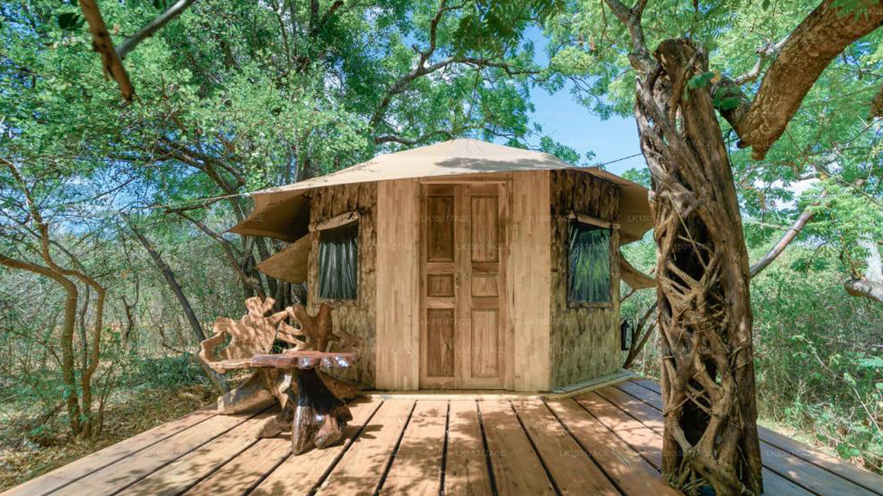 Leopardensafaris von KK Collection Yala