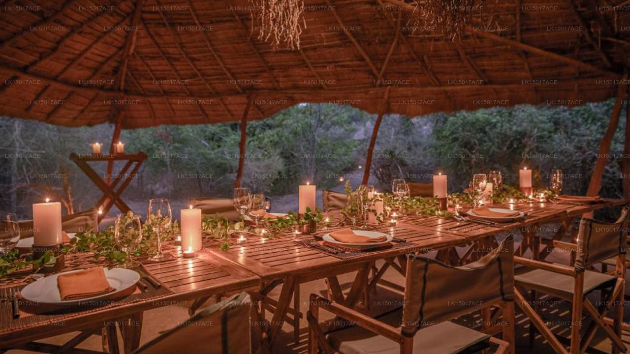 Leopardensafaris von KK Collection Yala