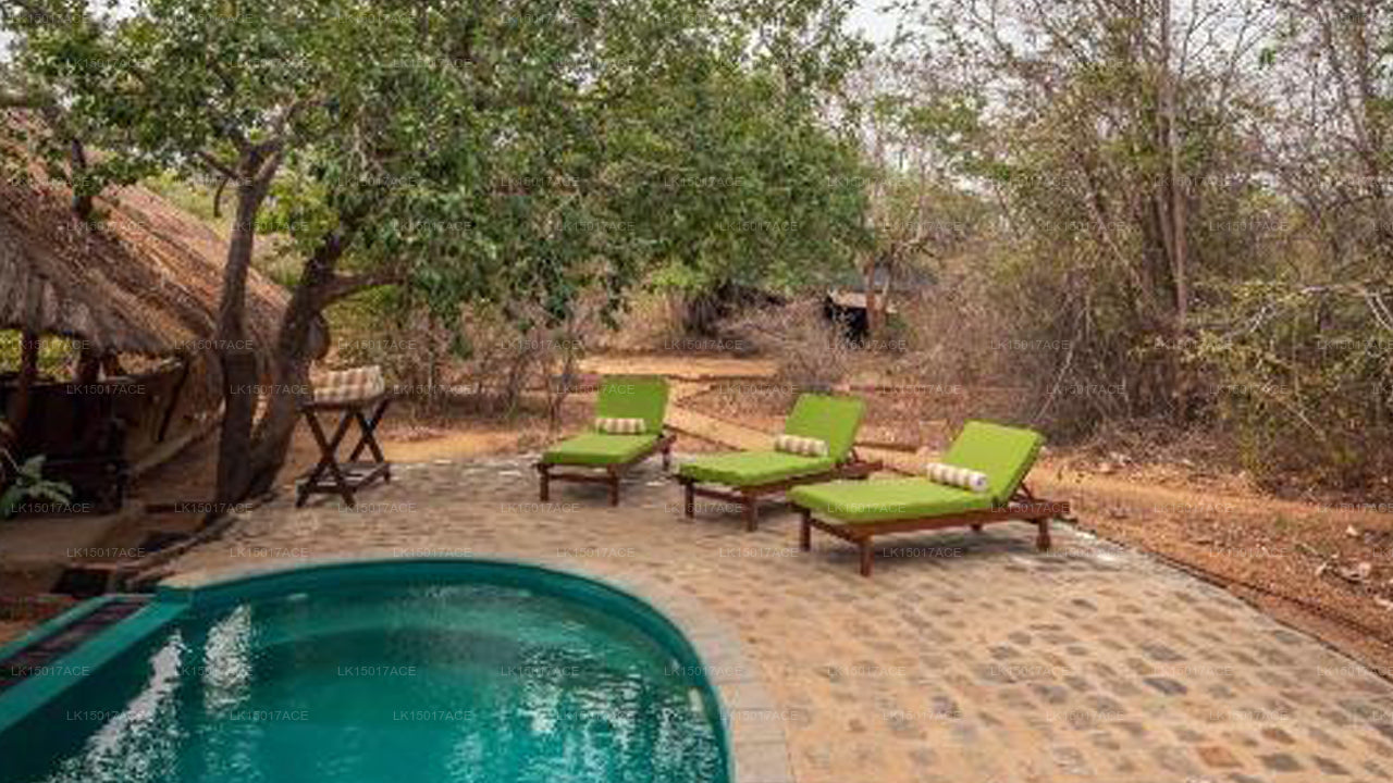 Leopardensafaris von KK Collection Yala