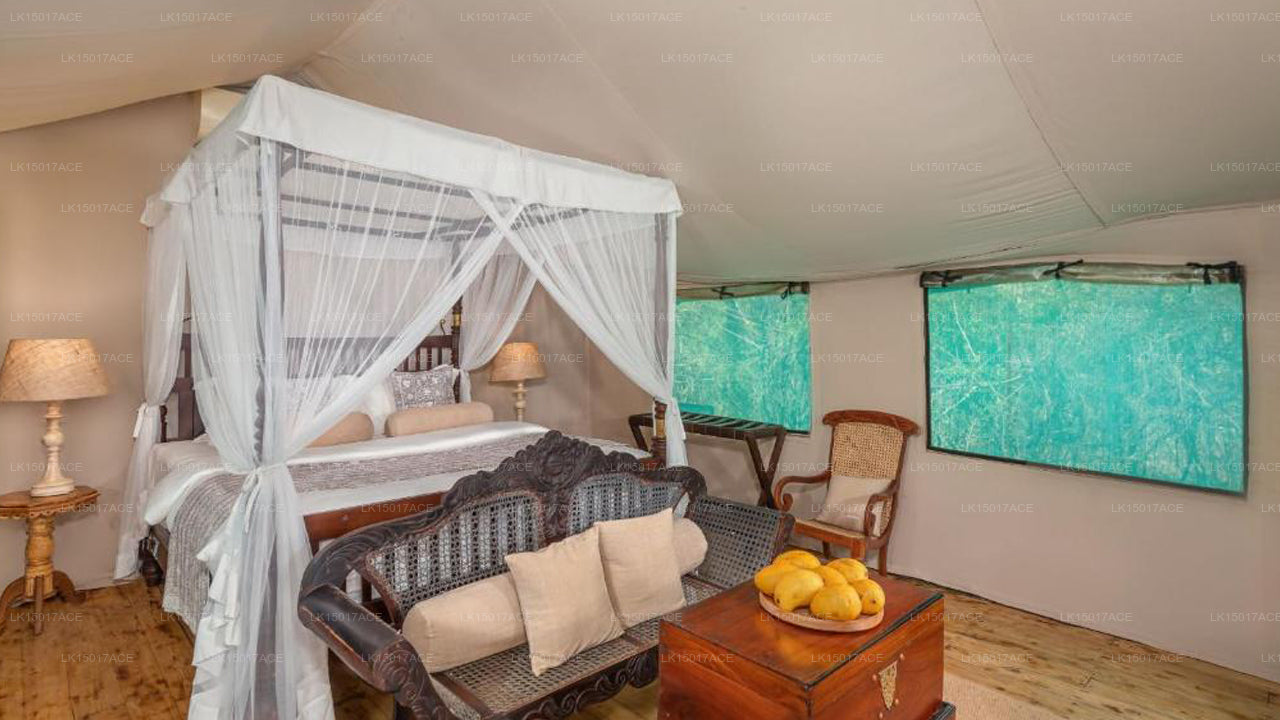 Leopardensafaris von KK Collection Yala