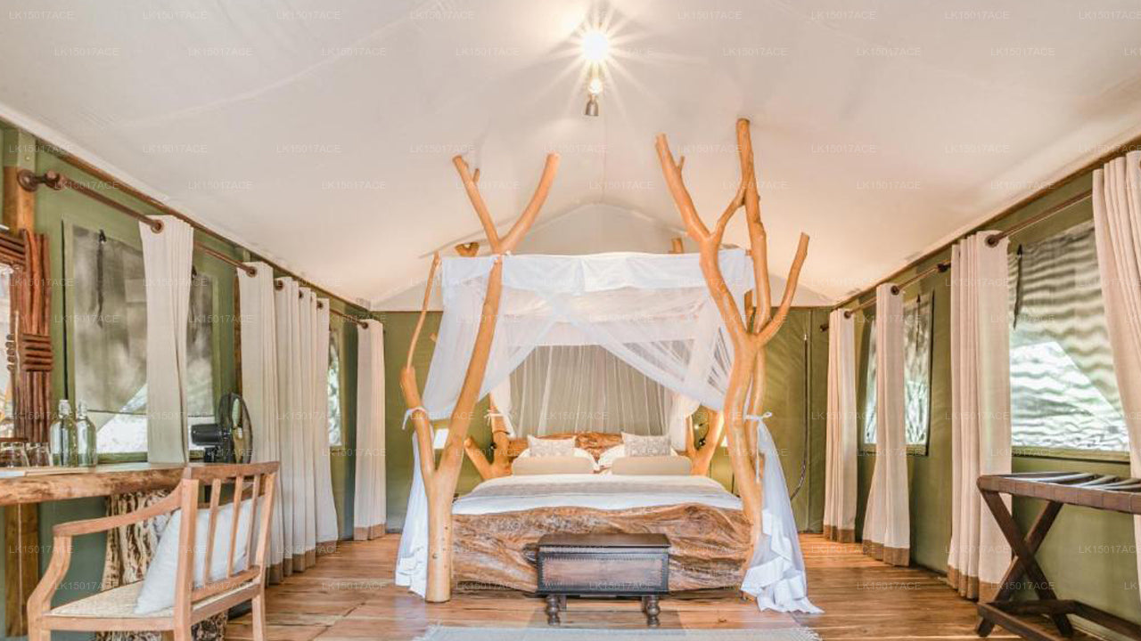 Leopardensafaris von KK Collection Yala