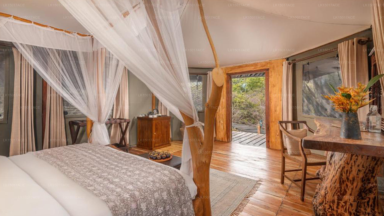 Leopardensafaris von KK Collection Yala