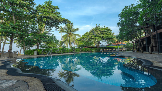 Wornells Reef Hotel, Beruwala 