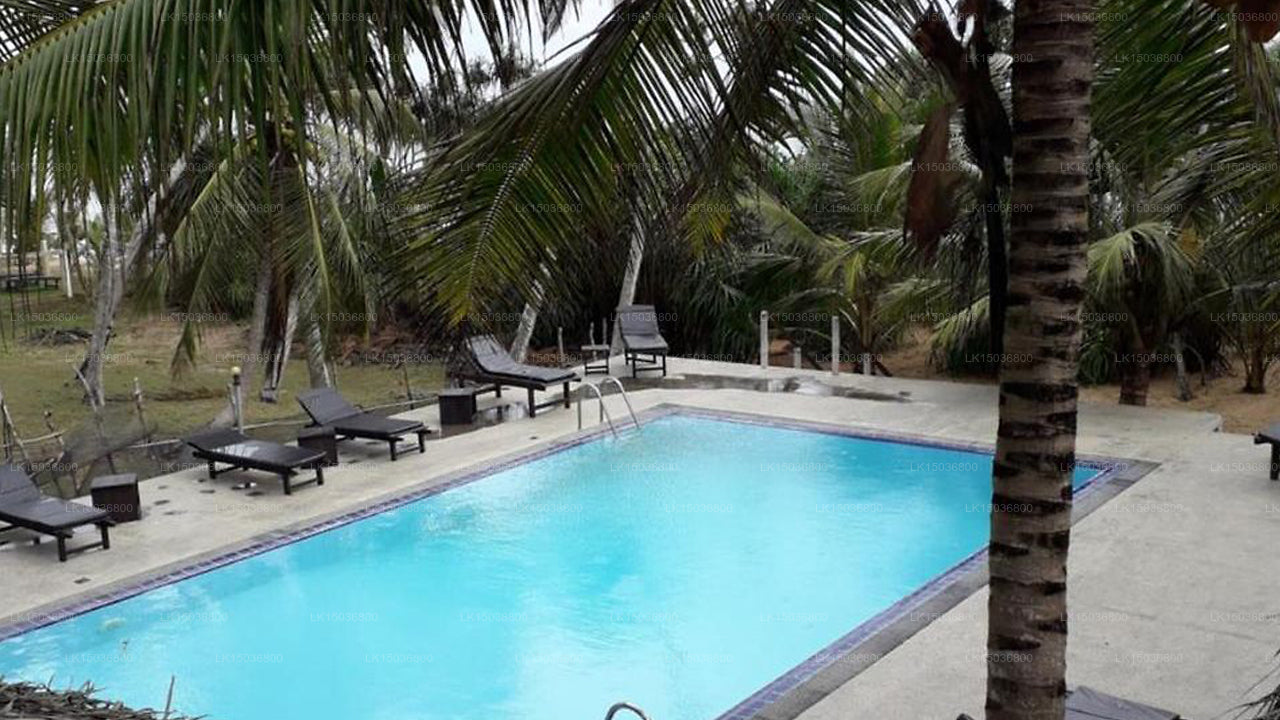 Golden Coconut Cabanas, Tangalle 