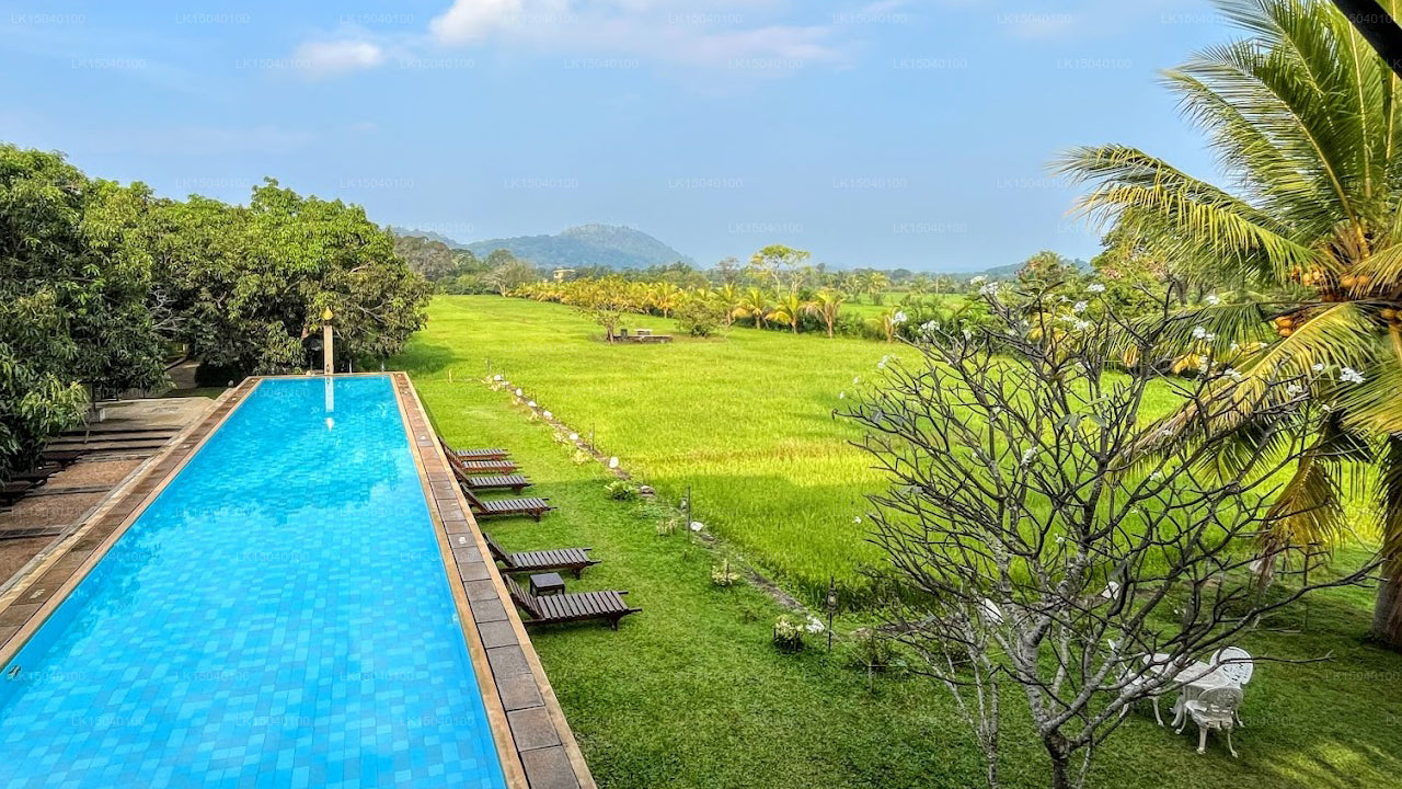 Thilanka Resort und Spa, Dambulla