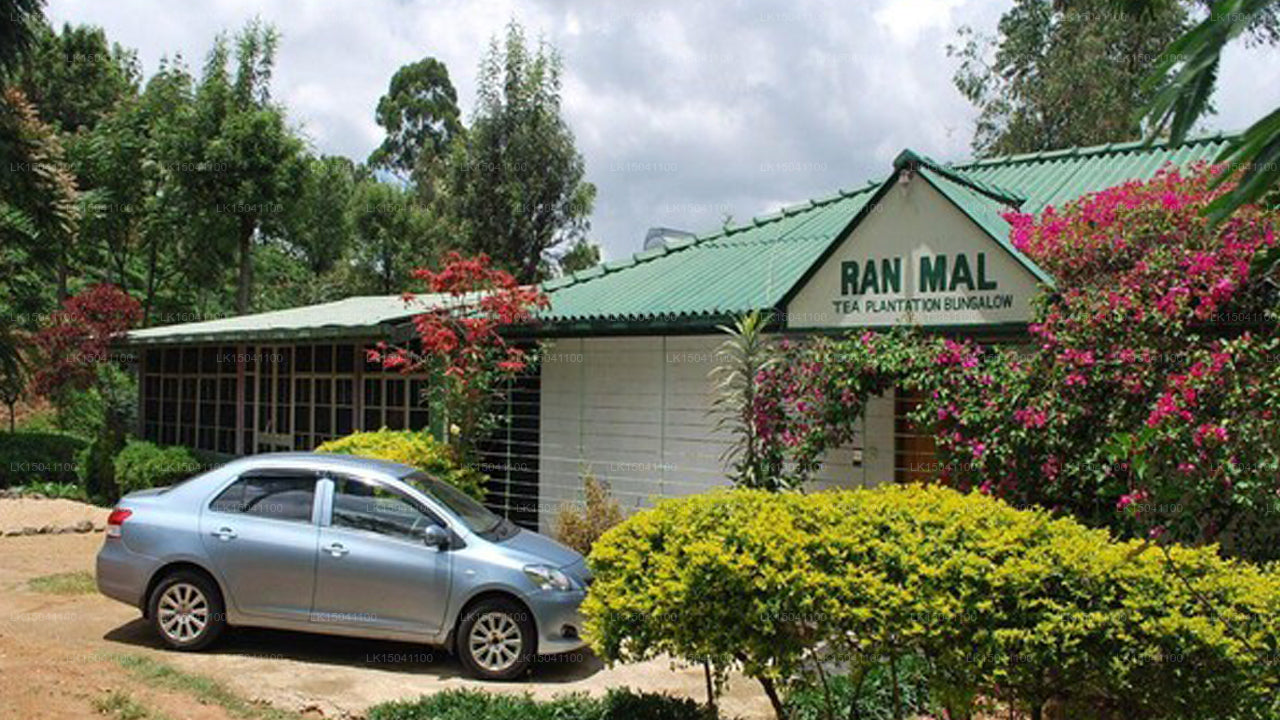 Ramal Teeplantagen-Bungalow, Bandarawela