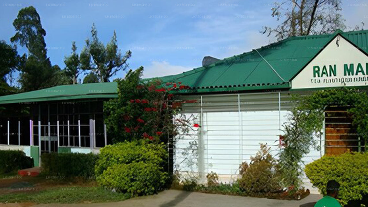 Ramal Teeplantagen-Bungalow, Bandarawela