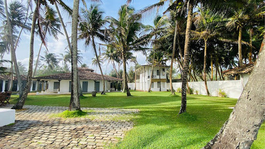 Olanda Strandhaus, Habaraduwa