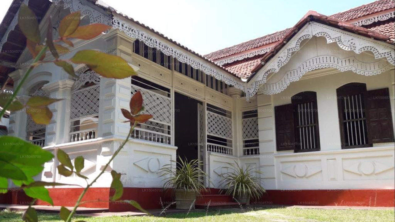 Die Kolonie, Tangalle