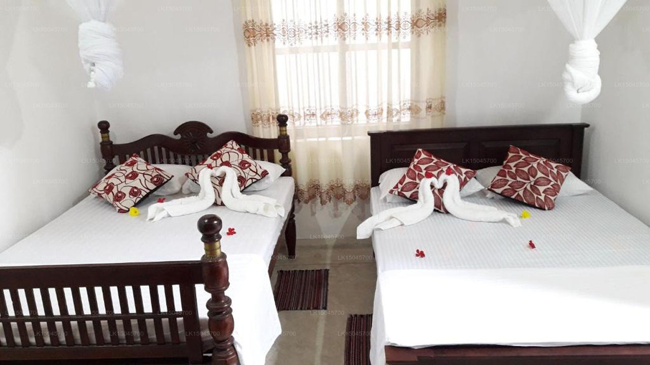 Die Kolonie, Tangalle