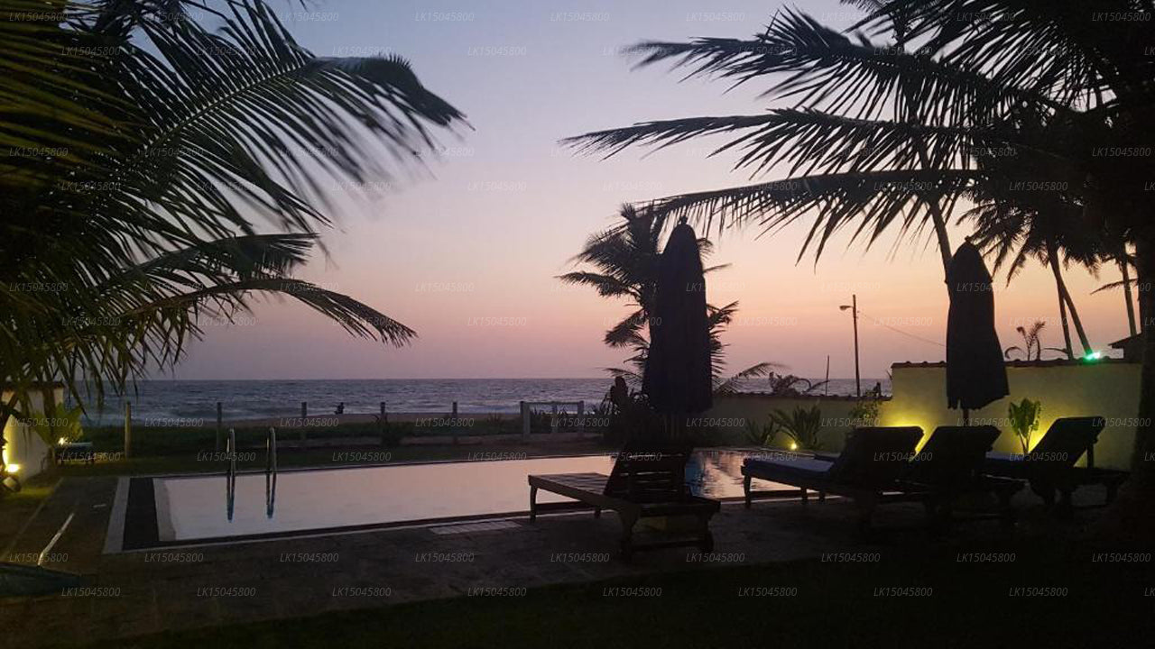 Tropisches Strandhaus, Hikkaduwa